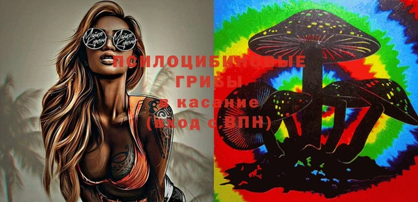 экстази Гусиноозёрск