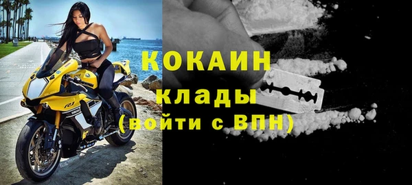 ALPHA PVP Гусев