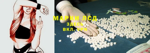 ALPHA PVP Гусев