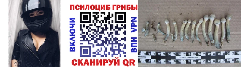 площадка наркотические препараты  Кропоткин  Псилоцибиновые грибы мицелий 